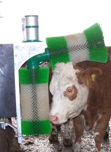 Perie rotativa Schurr pentru vaci, vitei si capre